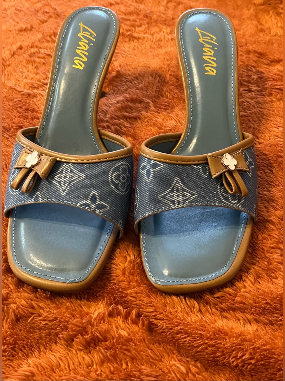 Liliana NWOB Blue Slide Sandals with Brown Trim